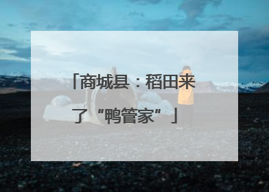 商城县：稻田来了“鸭管家”