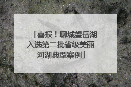 喜报！聊城望岳湖入选第二批省级美丽河湖典型案例