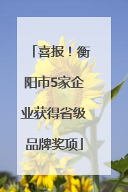 喜报！衡阳市5家企业获得省级品牌奖项