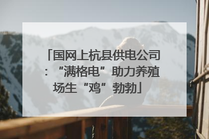 国网上杭县供电公司：“满格电”助力养殖场生“鸡”勃勃