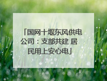国网十堰东风供电公司：支部共建 居民用上安心电