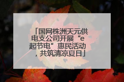 国网株洲天元供电支公司开展“e起节电”惠民活动，共筑清凉夏日