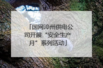 国网漳州供电公司开展“安全生产月”系列活动