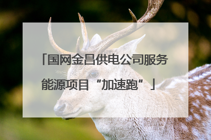 国网金昌供电公司服务能源项目“加速跑”