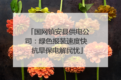 国网镇安县供电公司：绿色报装速度快 抗旱保电解民忧
