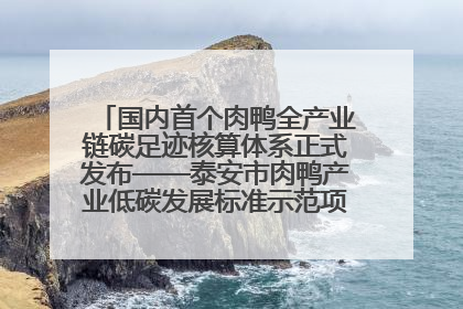 国内首个肉鸭全产业链碳足迹核算体系正式发布——泰安市肉鸭产业低碳发展标准示范项目顺利通过验收