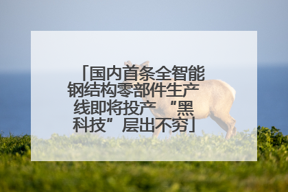 国内首条全智能钢结构零部件生产线即将投产 “黑科技”层出不穷
