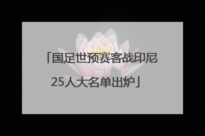 国足世预赛客战印尼25人大名单出炉
