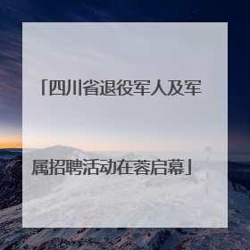 四川省退役军人及军属招聘活动在蓉启幕