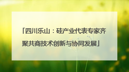 四川乐山：硅产业代表专家齐聚共商技术创新与协同发展