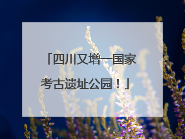 四川又增一国家考古遗址公园！