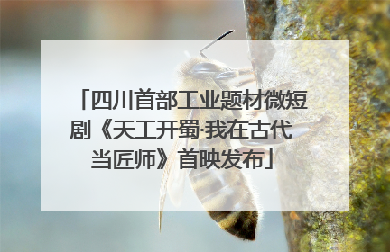 四川首部工业题材微短剧《天工开蜀·我在古代当匠师》首映发布