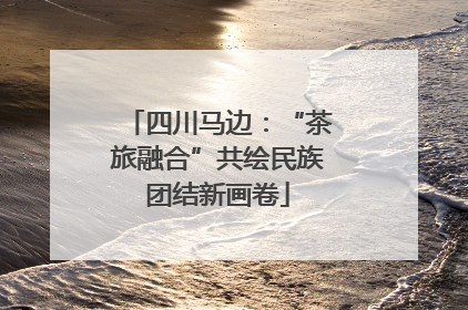 四川马边：“茶旅融合”共绘民族团结新画卷