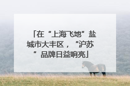 在“上海飞地”盐城市大丰区，“沪苏”品牌日益响亮