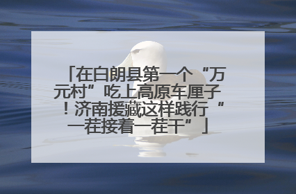 在白朗县第一个“万元村”吃上高原车厘子！济南援藏这样践行“一茬接着一茬干”