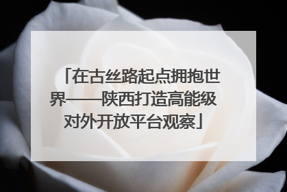 在古丝路起点拥抱世界——陕西打造高能级对外开放平台观察