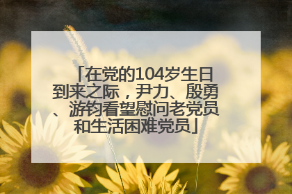 在党的104岁生日到来之际，尹力、殷勇、游钧看望慰问老党员和生活困难党员