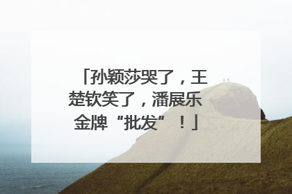 孙颖莎哭了，王楚钦笑了，潘展乐金牌“批发”！