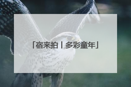 宿来拍丨多彩童年