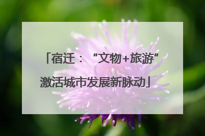 宿迁：“文物+旅游”激活城市发展新脉动