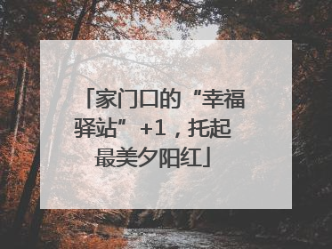 家门口的“幸福驿站”+1，托起最美夕阳红