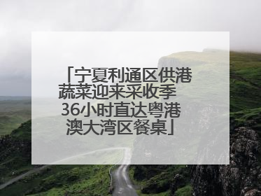宁夏利通区供港蔬菜迎来采收季 36小时直达粤港澳大湾区餐桌