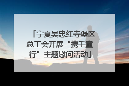 宁夏吴忠红寺堡区总工会开展“携手童行”主题慰问活动