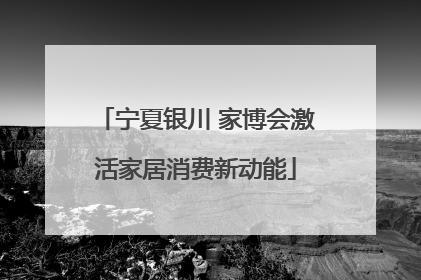 宁夏银川 家博会激活家居消费新动能