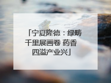 宁夏隆德：绿畴千里展画卷 药香四溢产业兴