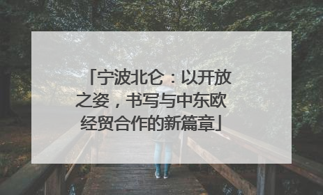 宁波北仑：以开放之姿，书写与中东欧经贸合作的新篇章