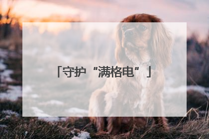 守护“满格电”