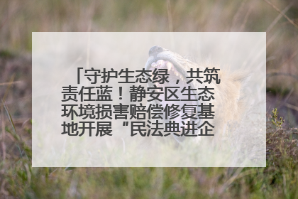 守护生态绿，共筑责任蓝！静安区生态环境损害赔偿修复基地开展“民法典进企业”环保专题活动
