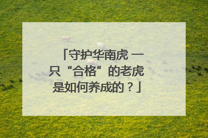 守护华南虎 一只“合格”的老虎是如何养成的？