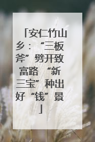 安仁竹山乡：“三板斧”劈开致富路 “新三宝”种出好“钱”景