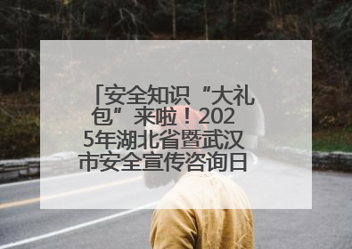 安全知识“大礼包”来啦！2025年湖北省暨武汉市安全宣传咨询日活动在汉举行