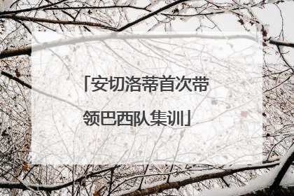 安切洛蒂首次带领巴西队集训