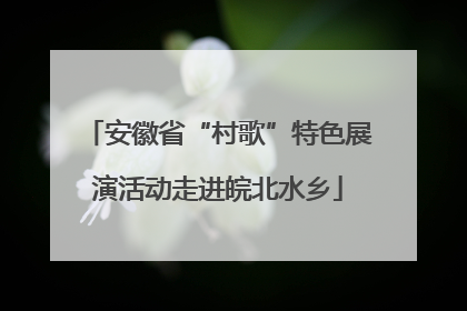 安徽省“村歌”特色展演活动走进皖北水乡