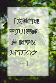 安徽首现罕见并蒂睡莲 概率仅为百万分之一