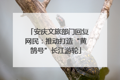 安庆文旅部门回复网民：推动打造“黄鹄号”长江游轮