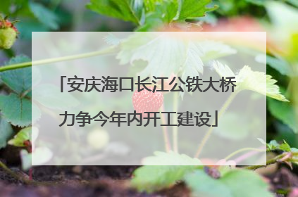 安庆海口长江公铁大桥力争今年内开工建设