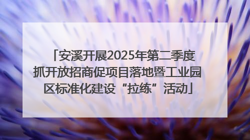 安溪开展2025年第二季度抓开放招商促项目落地暨工业园区标准化建设“拉练”活动