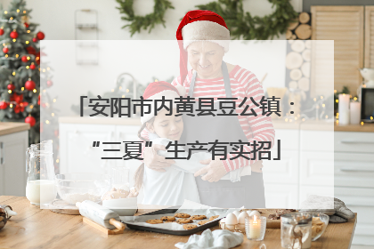 安阳市内黄县豆公镇：“三夏”生产有实招