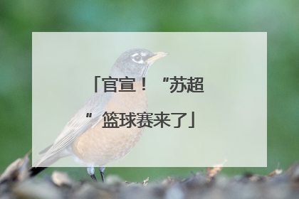 官宣！“苏超”篮球赛来了