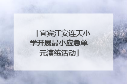 宜宾江安连天小学开展最小应急单元演练活动