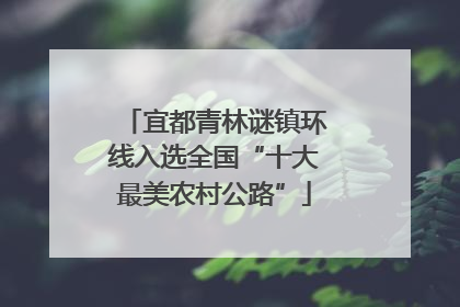宜都青林谜镇环线入选全国“十大最美农村公路”