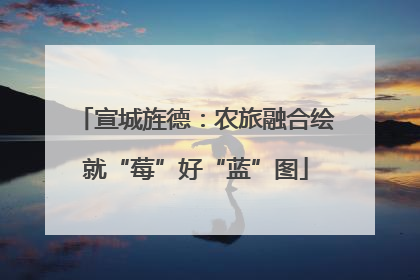 宣城旌德：农旅融合绘就“莓”好“蓝”图
