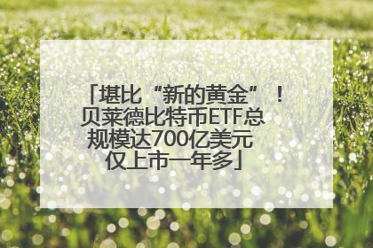 堪比“新的黄金”！贝莱德比特币ETF总规模达700亿美元 仅上市一年多