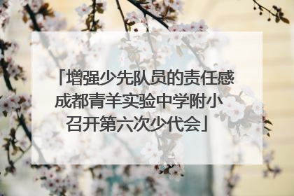 增强少先队员的责任感 成都青羊实验中学附小召开第六次少代会