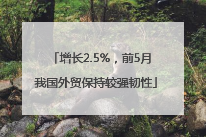 增长2.5%，前5月我国外贸保持较强韧性