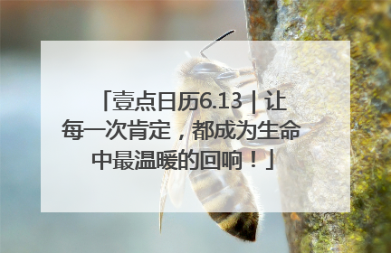 壹点日历6.13｜让每一次肯定，都成为生命中最温暖的回响！